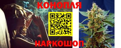 амф Камышлов