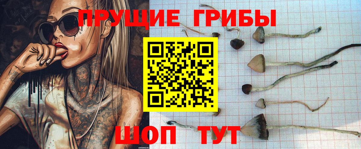 Красноярск  Галлюциногенные грибы Magic Shrooms  Вход с VPN 