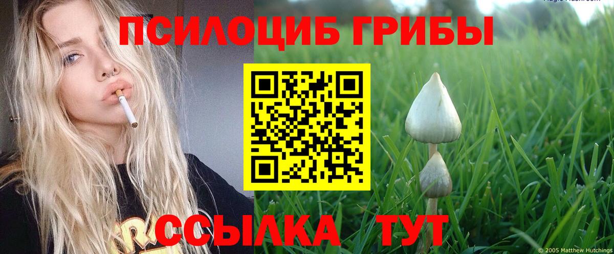 Галлюциногенные грибы прущие грибы Красноярск